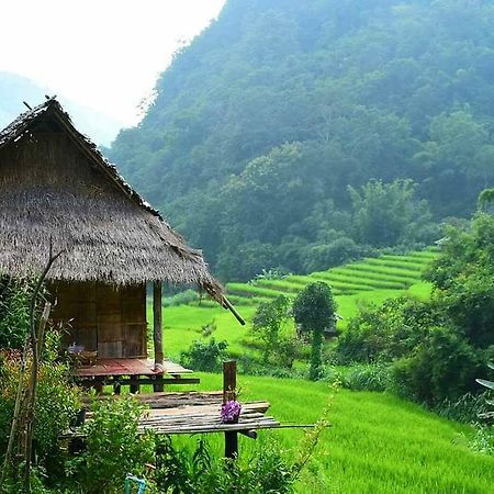 Kowitfarmstay Ban Mae Pan Noi Ngoại thất bức ảnh