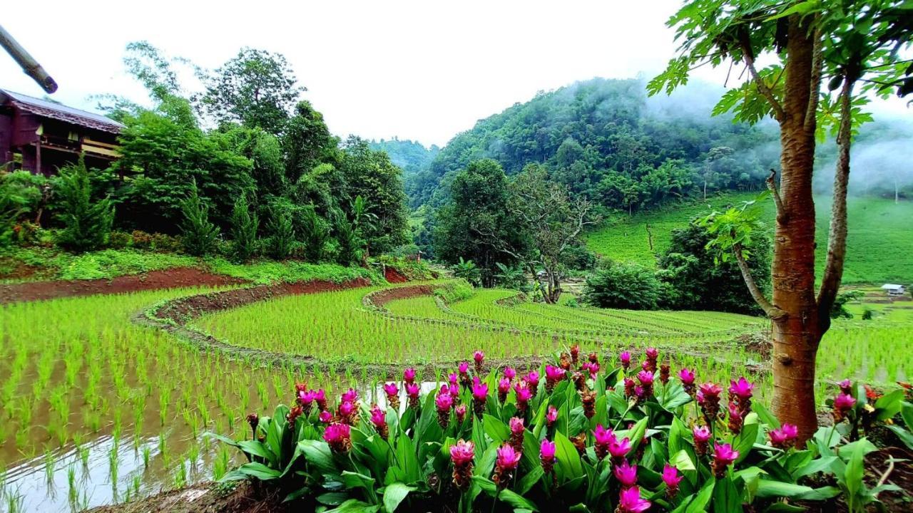 Kowitfarmstay Ban Mae Pan Noi Ngoại thất bức ảnh