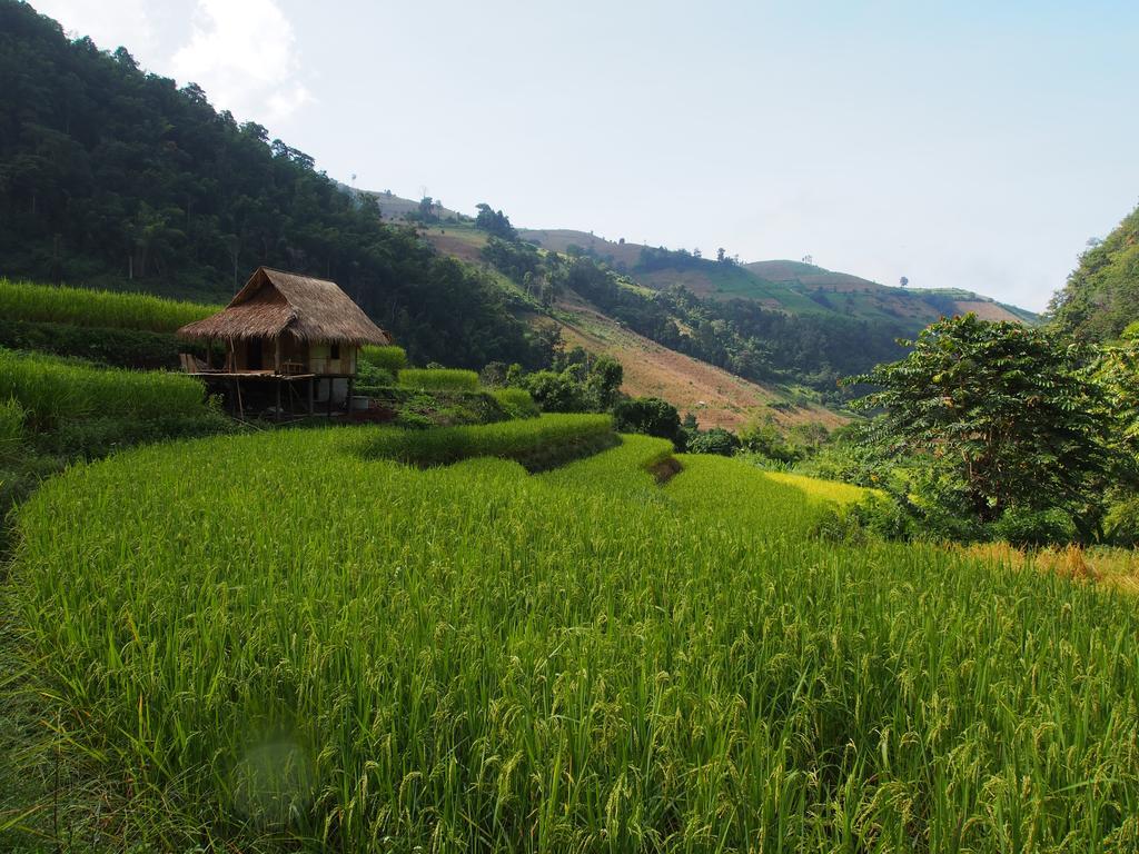 Kowitfarmstay Ban Mae Pan Noi Ngoại thất bức ảnh