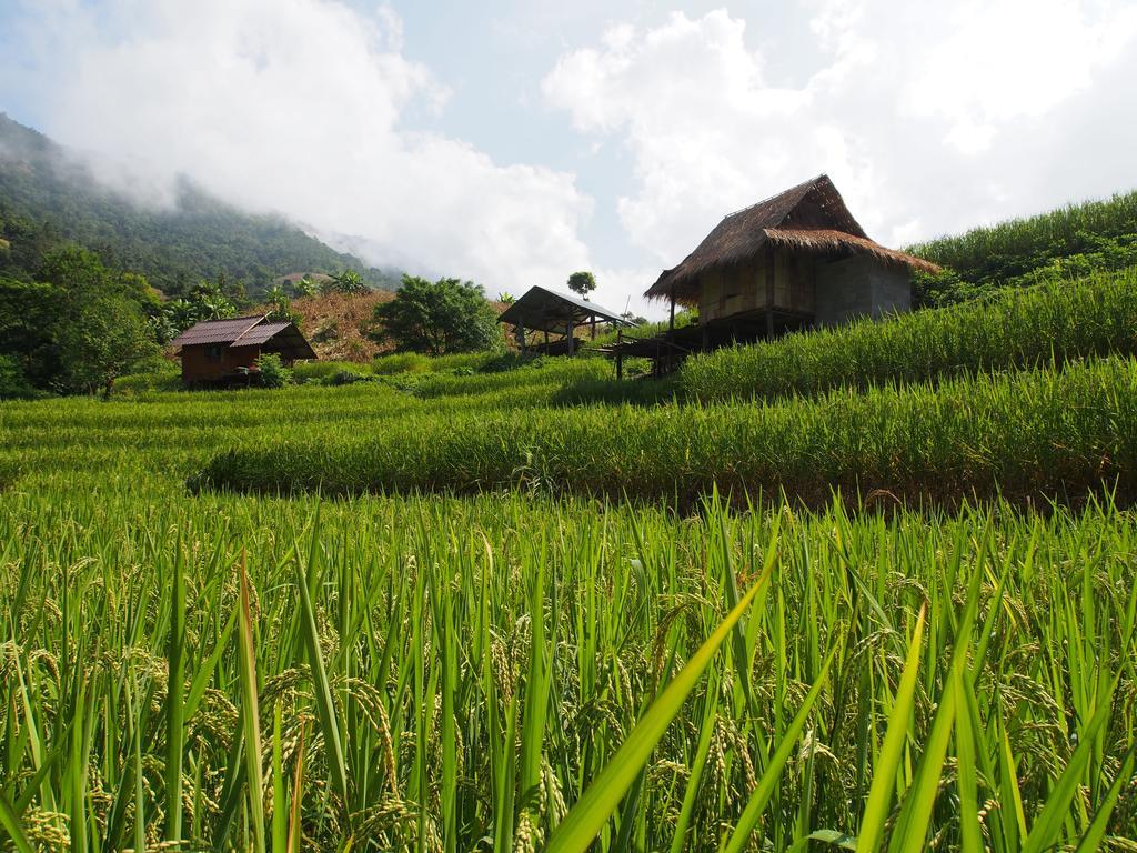Kowitfarmstay Ban Mae Pan Noi Ngoại thất bức ảnh