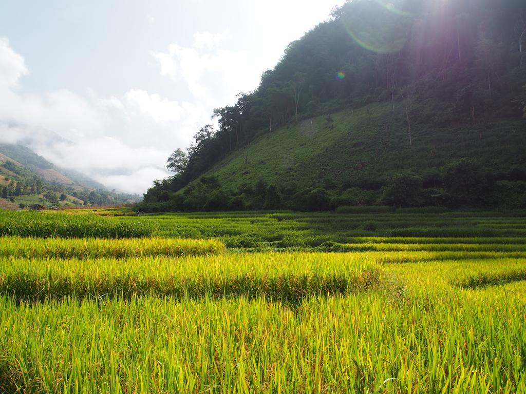 Kowitfarmstay Ban Mae Pan Noi Ngoại thất bức ảnh