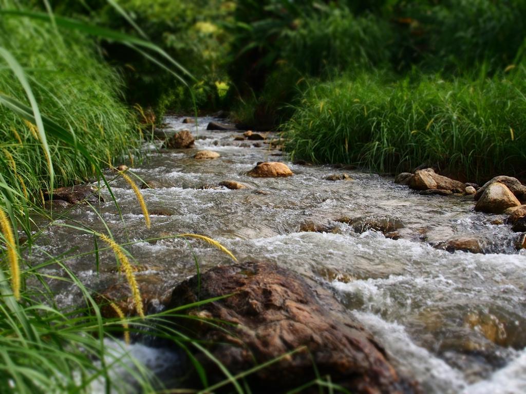 Kowitfarmstay Ban Mae Pan Noi Ngoại thất bức ảnh