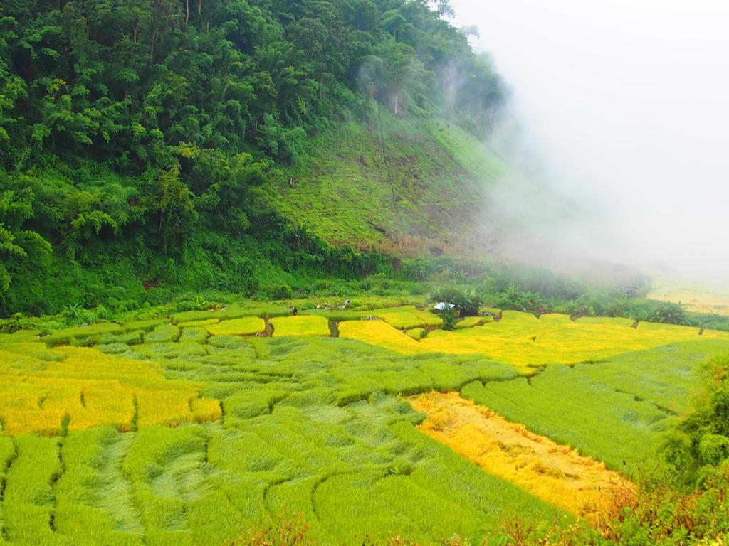 Kowitfarmstay Ban Mae Pan Noi Ngoại thất bức ảnh