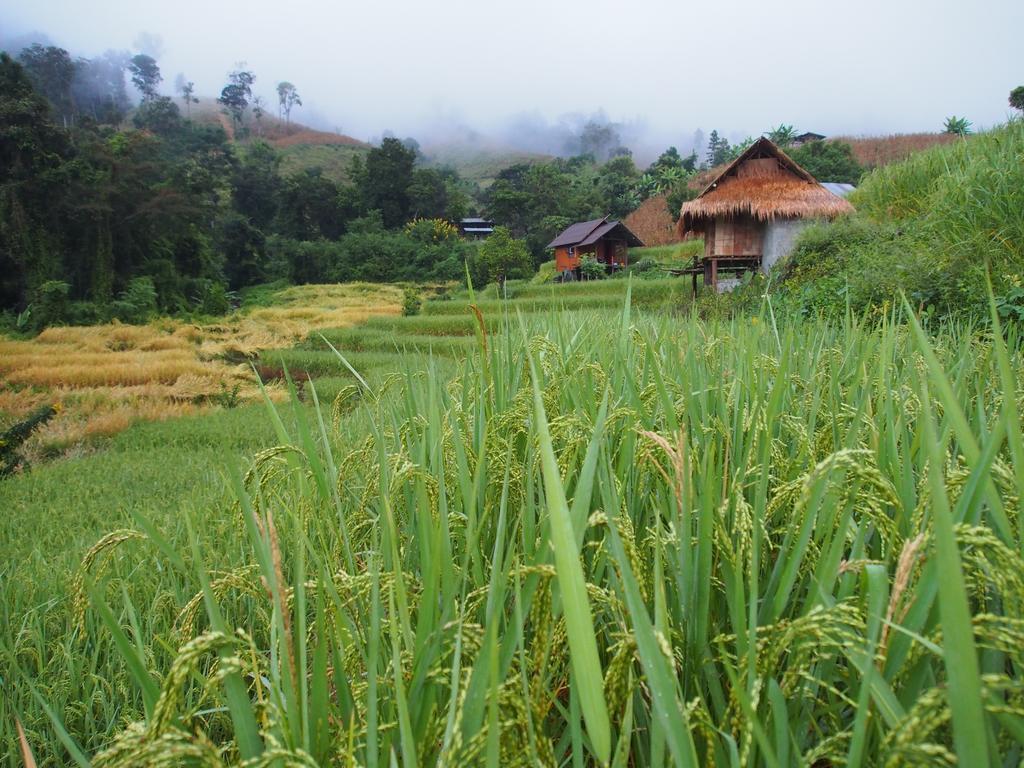 Kowitfarmstay Ban Mae Pan Noi Ngoại thất bức ảnh