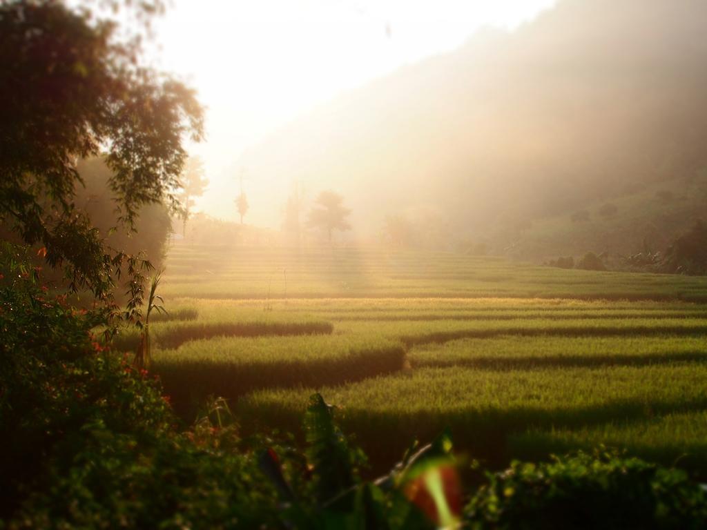 Kowitfarmstay Ban Mae Pan Noi Ngoại thất bức ảnh