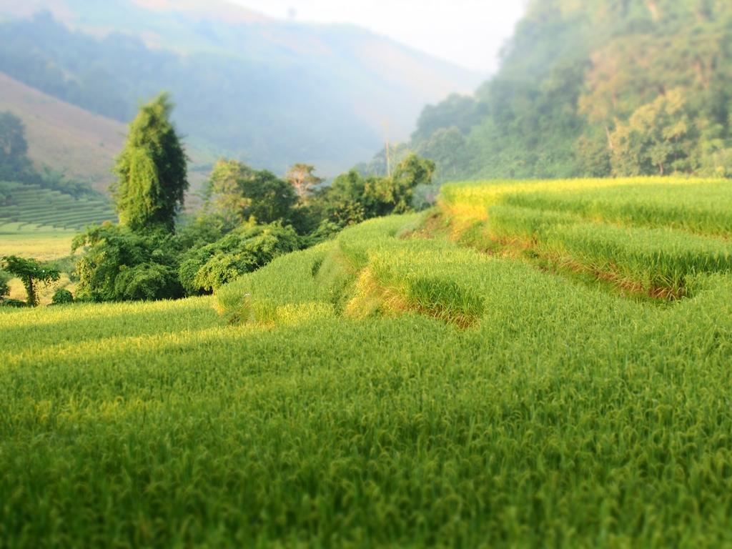 Kowitfarmstay Ban Mae Pan Noi Ngoại thất bức ảnh
