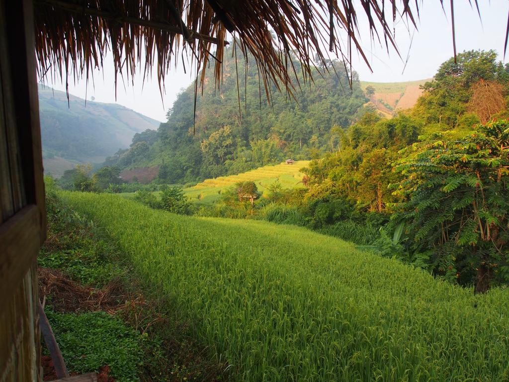 Kowitfarmstay Ban Mae Pan Noi Ngoại thất bức ảnh
