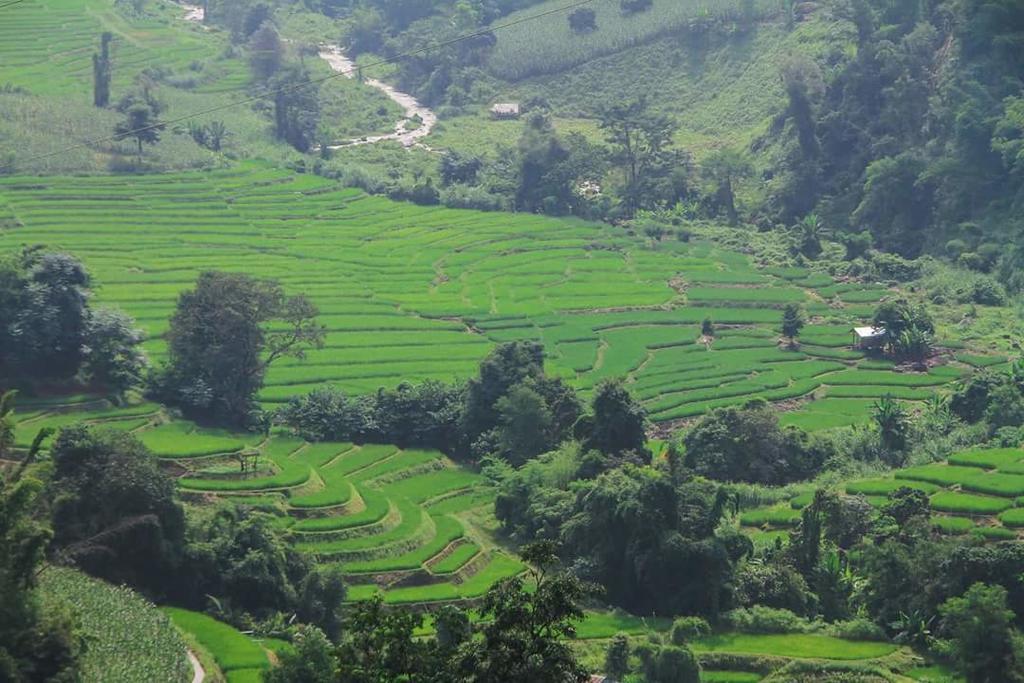 Kowitfarmstay Ban Mae Pan Noi Ngoại thất bức ảnh