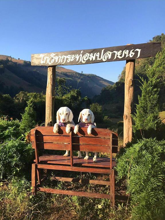 Kowitfarmstay Ban Mae Pan Noi Ngoại thất bức ảnh