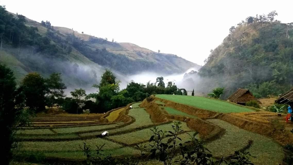 Kowitfarmstay Ban Mae Pan Noi Ngoại thất bức ảnh